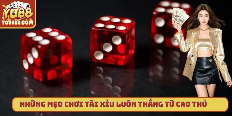 Mẹo Chơi Tài Xỉu Luôn Thắng Từ Các Cao Thủ Hàng Đầu Hiện Nay Mẹo chơi tài xỉu luôn thắng từ các chuyên gia